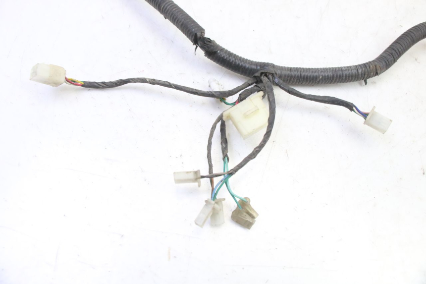 photo de CABLEADO TNT MOTOR BOSTON 4T 50 (2018 - 2025)