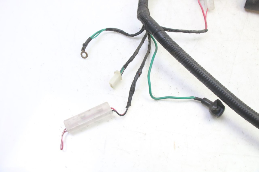 photo de CABLEADO TNT MOTOR BOSTON 4T 50 (2018 - 2025)