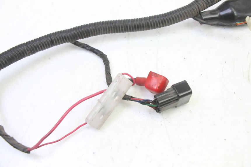 photo de CABLEADO TNT MOTOR BOSTON 4T 50 (2018 - 2025)
