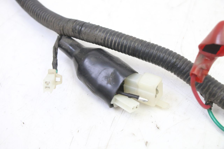 photo de CABLEADO TNT MOTOR BOSTON 4T 50 (2018 - 2025)