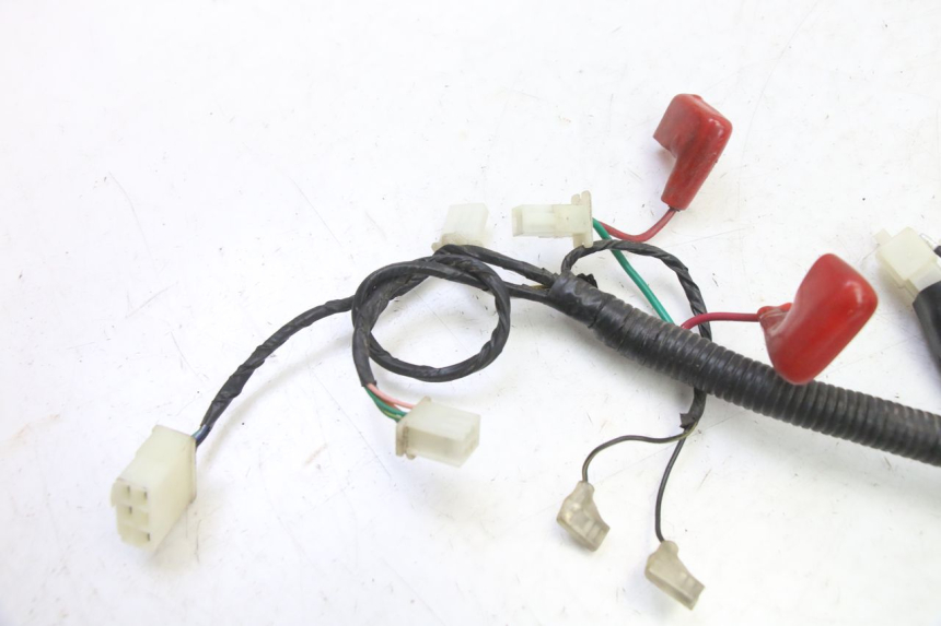 photo de CABLEADO TNT MOTOR BOSTON 4T 50 (2018 - 2025)