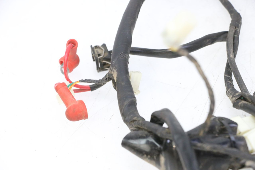 photo de CABLEADO MOTRON BREEZY 4T 50 (2021 - 2025)