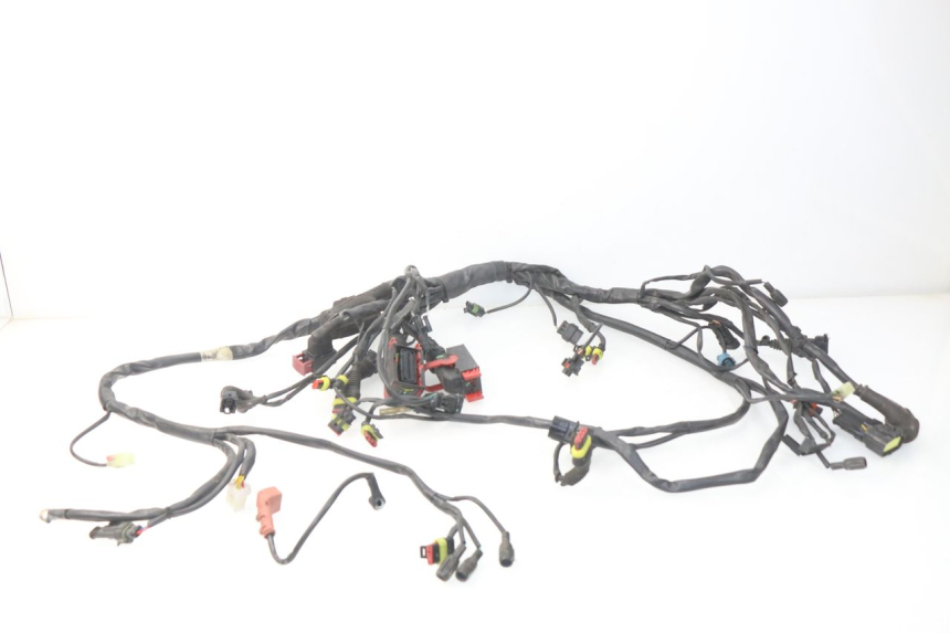 photo de CABLEADO MV AGUSTA BRUTALE R WALLY 910 (2008 - 2008)