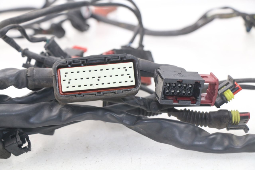 photo de CABLEADO MV AGUSTA BRUTALE R WALLY 910 (2008 - 2008)
