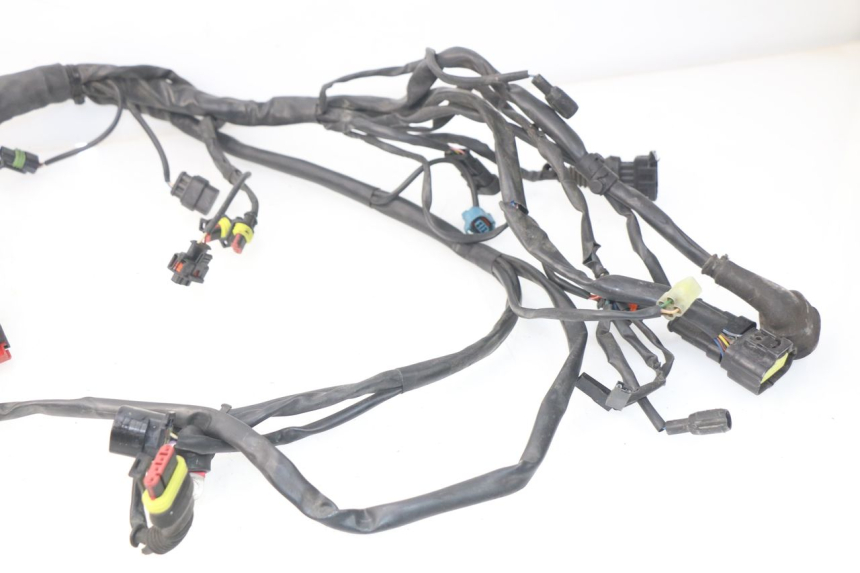 photo de CABLEADO MV AGUSTA BRUTALE R WALLY 910 (2008 - 2008)