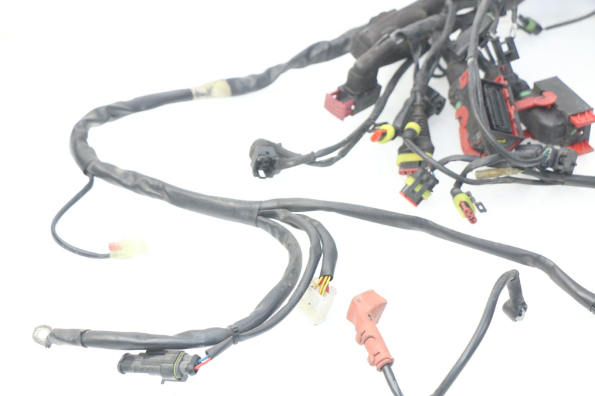 photo de CABLEADO MV AGUSTA BRUTALE R WALLY 910 (2008 - 2008)