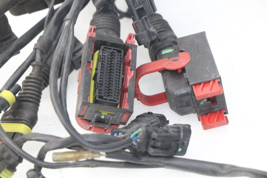 photo de CABLEADO MV AGUSTA BRUTALE R WALLY 910 (2008 - 2008)