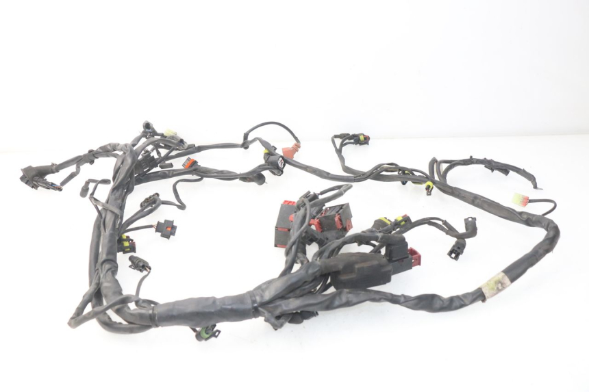 photo de CABLEADO MV AGUSTA BRUTALE R WALLY 910 (2008 - 2008)