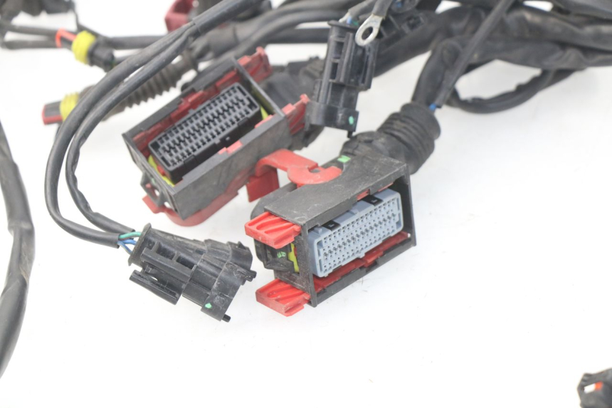 photo de CABLEADO MV AGUSTA BRUTALE R WALLY 910 (2008 - 2008)