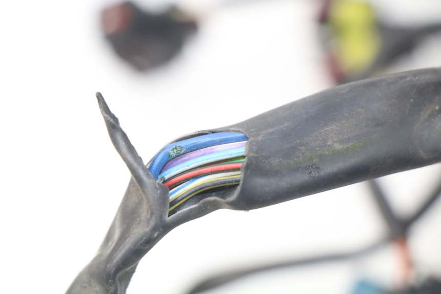 photo de CABLEADO MV AGUSTA BRUTALE R WALLY 910 (2008 - 2008)