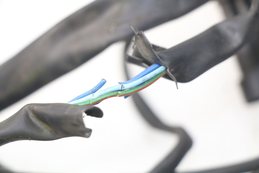 photo de CABLEADO MV AGUSTA BRUTALE R WALLY 910 (2008 - 2008)