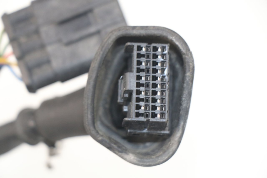 photo de CABLEADO MV AGUSTA BRUTALE R WALLY 910 (2008 - 2008)