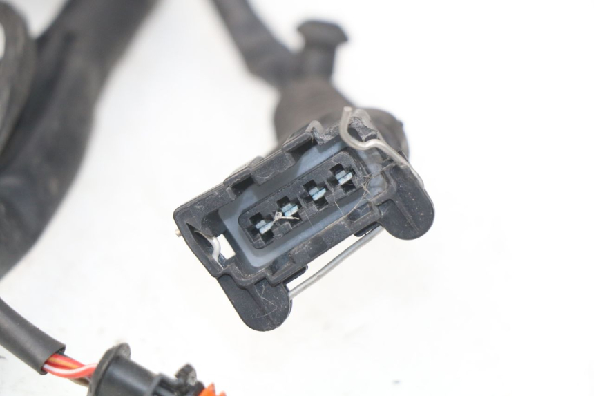 photo de CABLEADO MV AGUSTA BRUTALE R WALLY 910 (2008 - 2008)