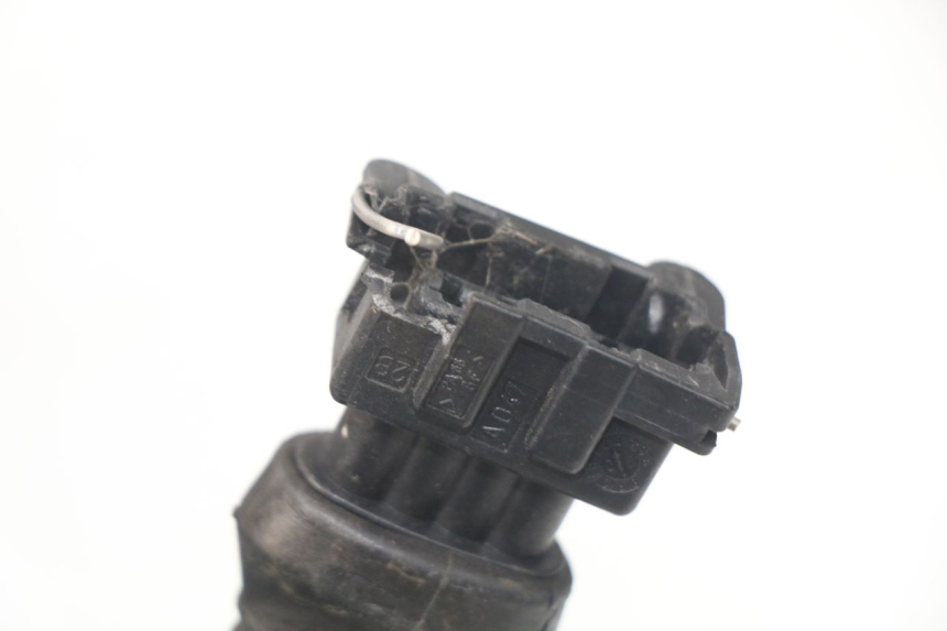 photo de CABLEADO MV AGUSTA BRUTALE R WALLY 910 (2008 - 2008)