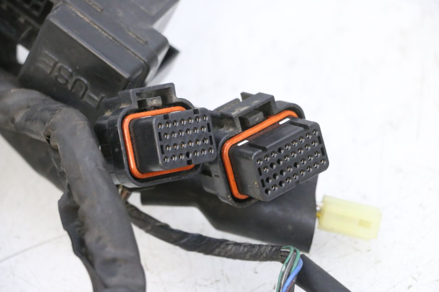 photo de CABLEADO SUZUKI BURGMAN 650 (2013 - 2020)