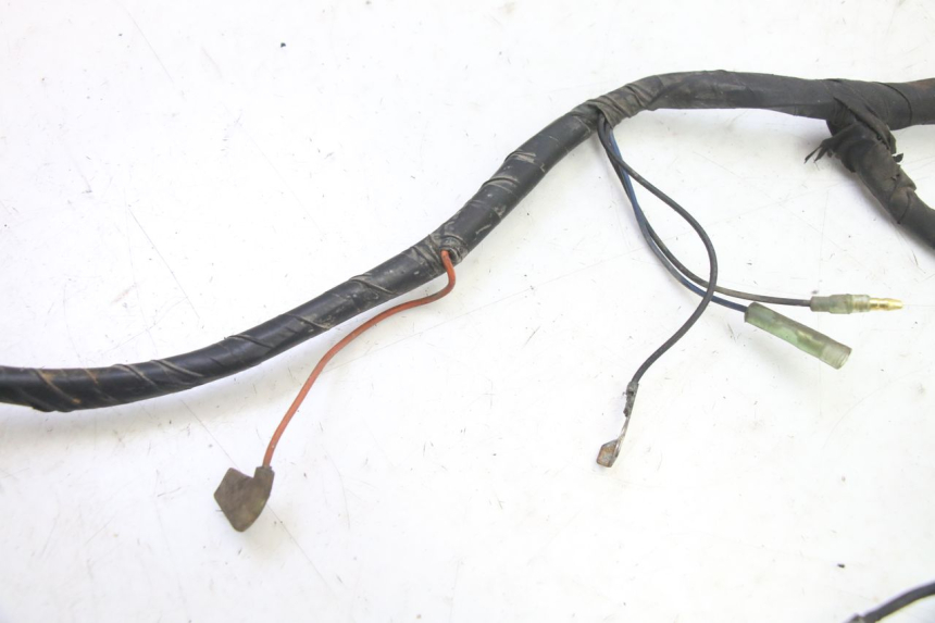 photo de CABLEADO YAMAHA BW'S 100 (1999 - 2002)
