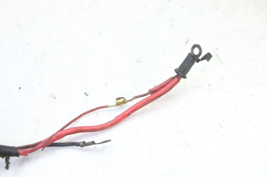 photo de CABLEADO YAMAHA BW'S 100 (1999 - 2002)