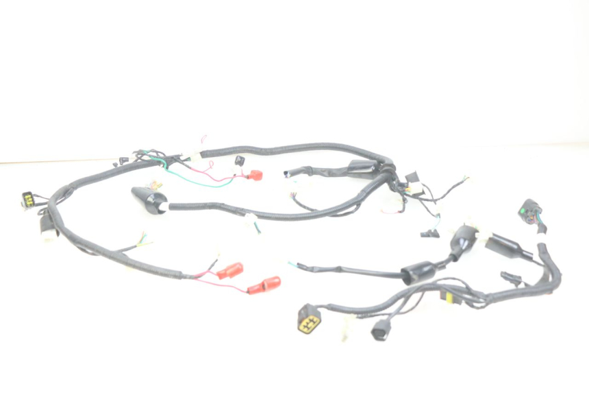 photo de CABLEADO ORCAL CAVARO 4T 50 (2019 - 2023)