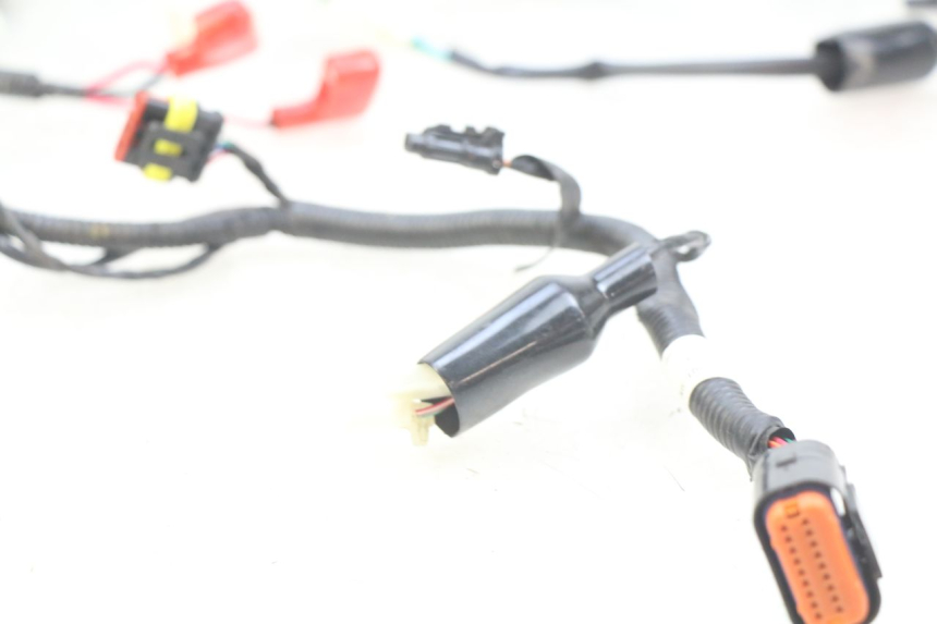 photo de CABLEADO ORCAL CAVARO 4T 50 (2019 - 2023)