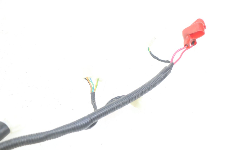 photo de CABLEADO ORCAL CAVARO 4T 50 (2019 - 2023)