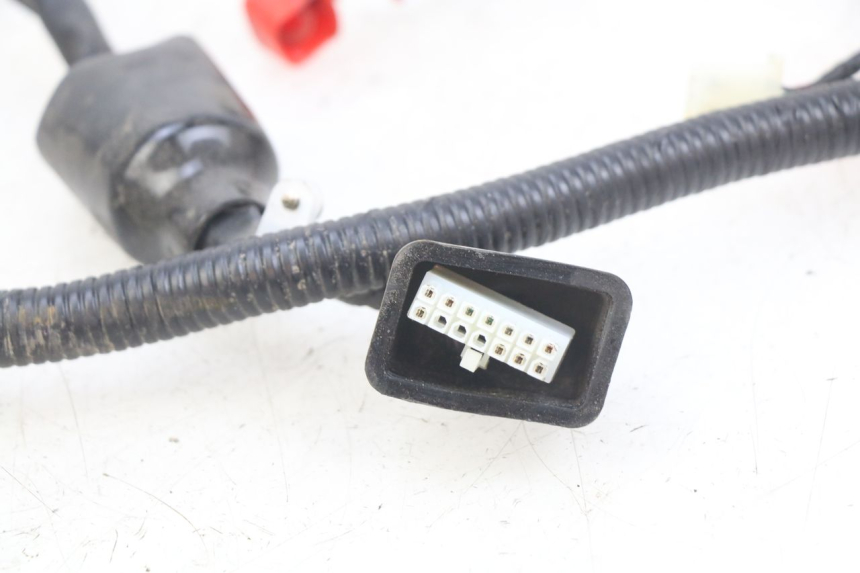 photo de CABLEADO ORCAL CAVARO 4T 50 (2019 - 2023)