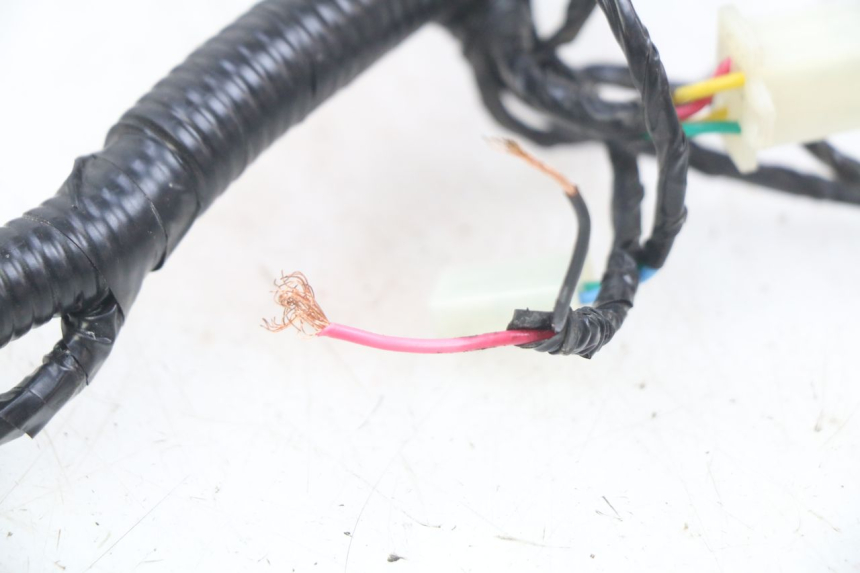 photo de CABLEADO ORCAL CAVARO 4T 50 (2019 - 2023)