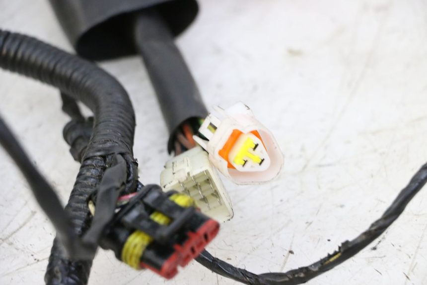 photo de CABLEADO ORCAL CAVARO 4T 50 (2019 - 2023)