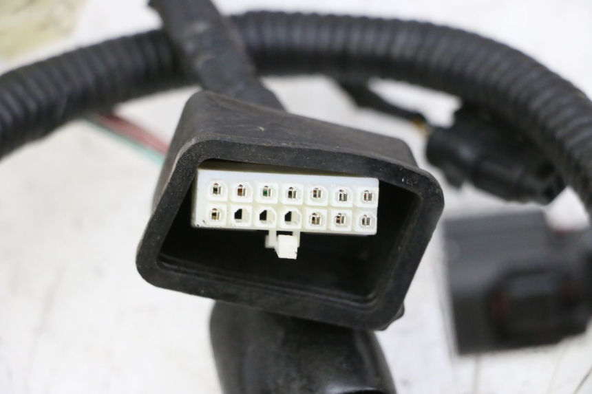 photo de CABLEADO ORCAL CAVARO 4T 50 (2019 - 2023)