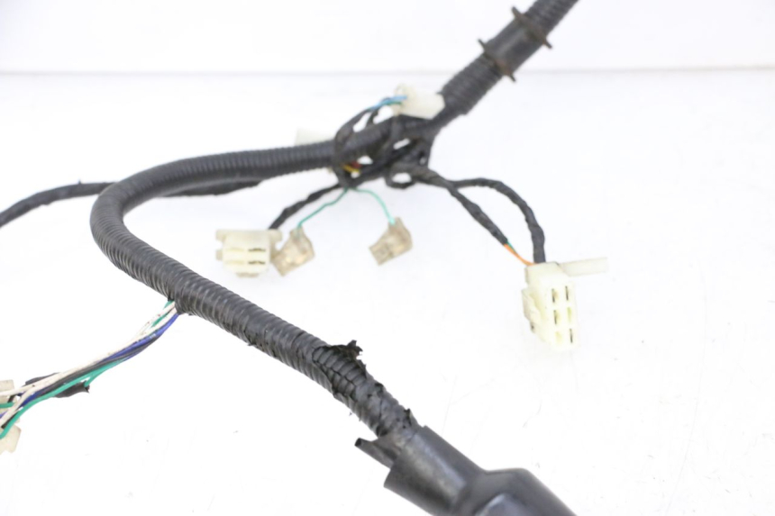 photo de CABLEADO ORCAL CAVARO 4T 50 (2019 - 2023)