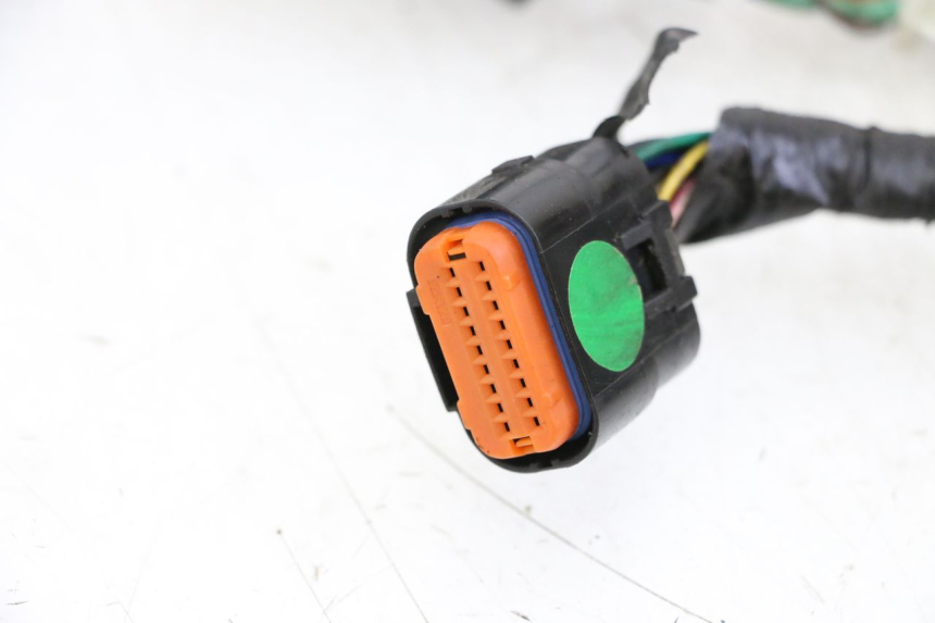 photo de CABLEADO ORCAL CAVARO 4T 50 (2019 - 2023)