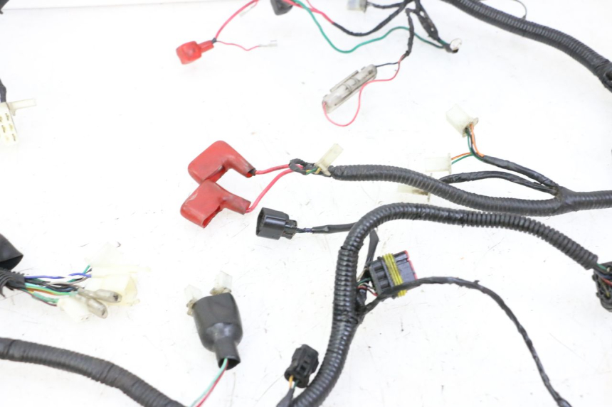 photo de CABLEADO ORCAL CAVARO 4T 50 (2019 - 2023)