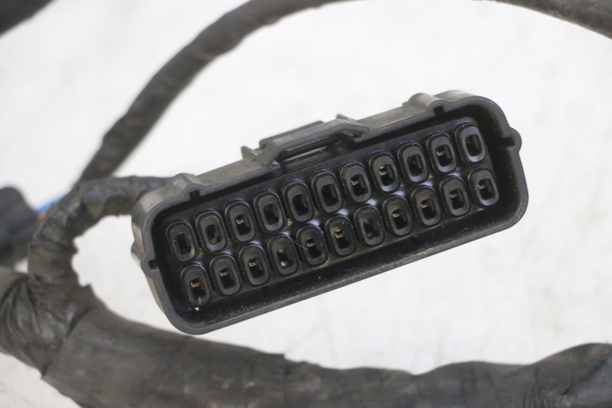 photo de CABLEADO HONDA CBF 500 (2004 - 2007)