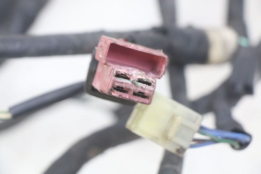 photo de CABLEADO HONDA CBR F SC25 1000 (1989 - 1992)