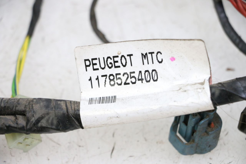 photo de CABLEADO PEUGEOT CITYSTAR 50 (2013 - 2017)