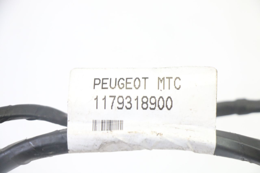 photo de CABLEADO PEUGEOT CITYSTAR 50 (2013 - 2017)