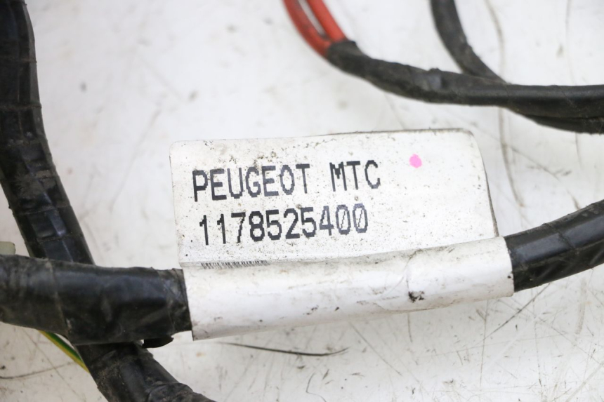 photo de CABLEADO PEUGEOT CITYSTAR 50 (2013 - 2017)