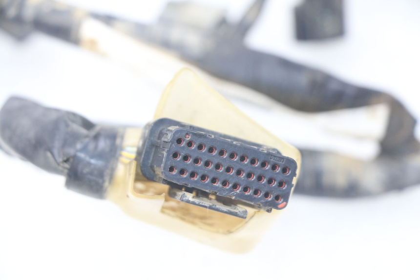 photo de CABLEADO HONDA CRF 250 (2013 - 2016)