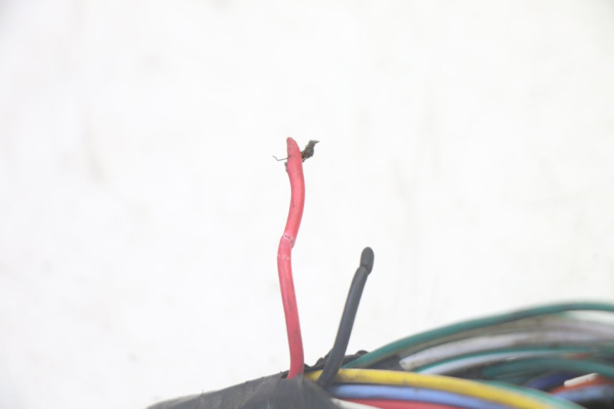 photo de CABLEADO SYM CROX 4T 50 (2016 - 2023)