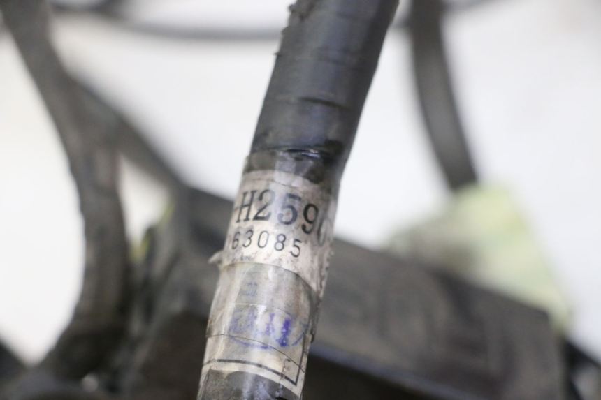 photo de CABLEADO YAMAHA CYGNUS X INJECTION 125 (2007 - 2013)