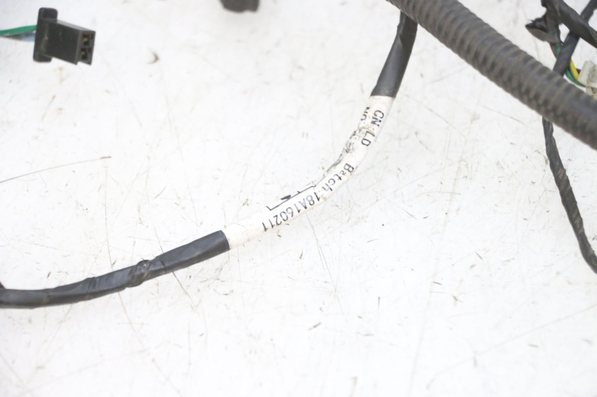 photo de CABLEADO PEUGEOT DJANGO 4T 50 (2014 - 2019) - Enfoque en la estructura