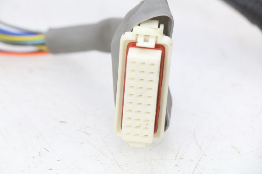 photo de CABLEADO EFUN E2GO 1 (2017 - 2021)