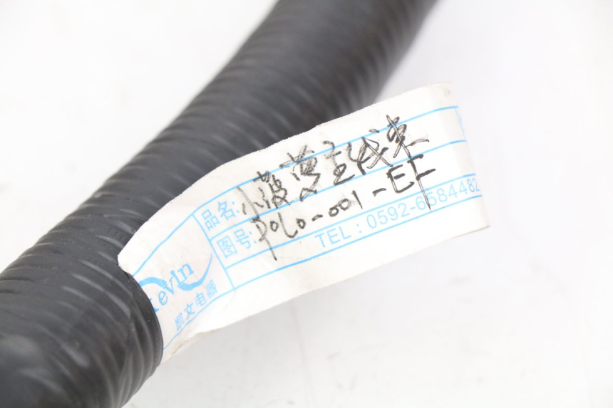 photo de CABLEADO EFUN E2GO 1 (2017 - 2021)