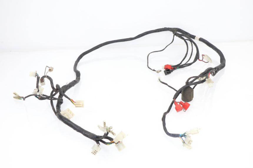 photo de CABLEADO SACHS EAGLE 50 (2007 - 2010)