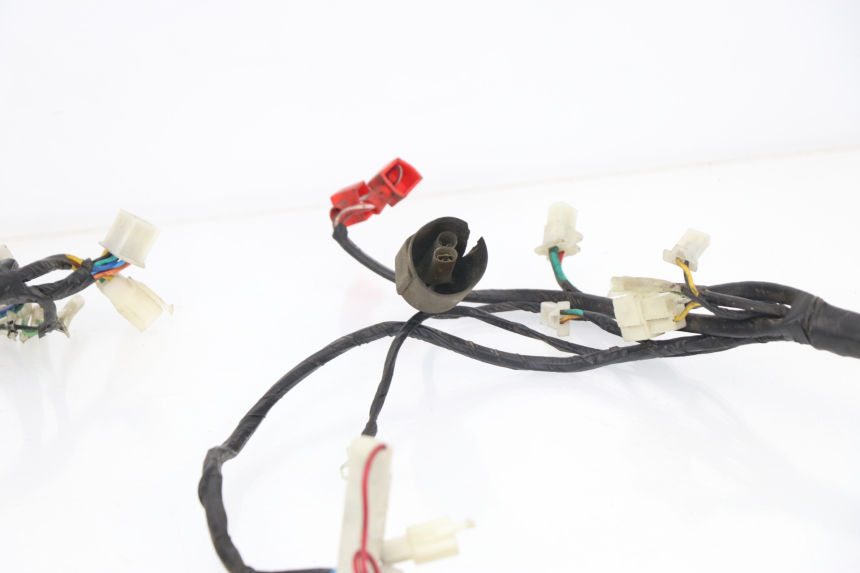 photo de CABLEADO SACHS EAGLE 50 (2007 - 2010)