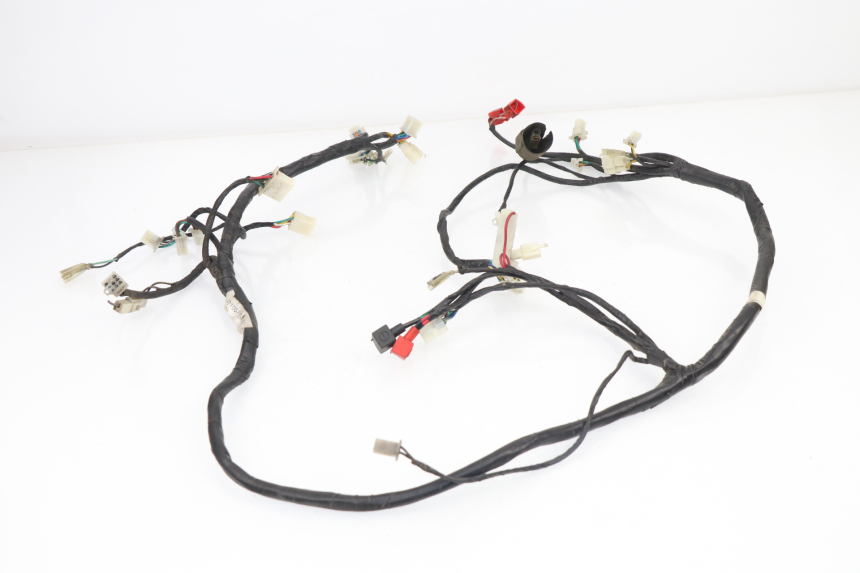 photo de CABLEADO SACHS EAGLE 50 (2007 - 2010)
