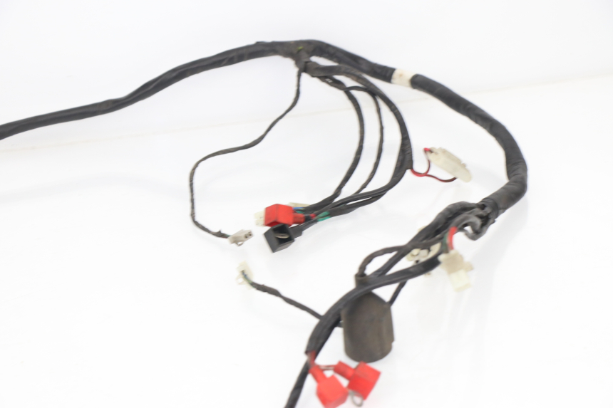 photo de CABLEADO SACHS EAGLE 50 (2007 - 2010)