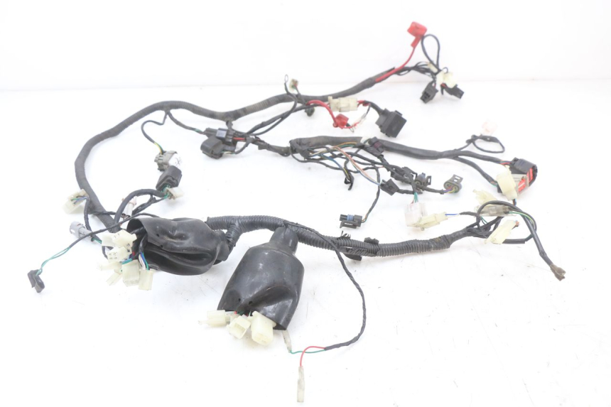 photo de CABLEADO LONGJIA EASY MAX 125 (2020 - 2024)
