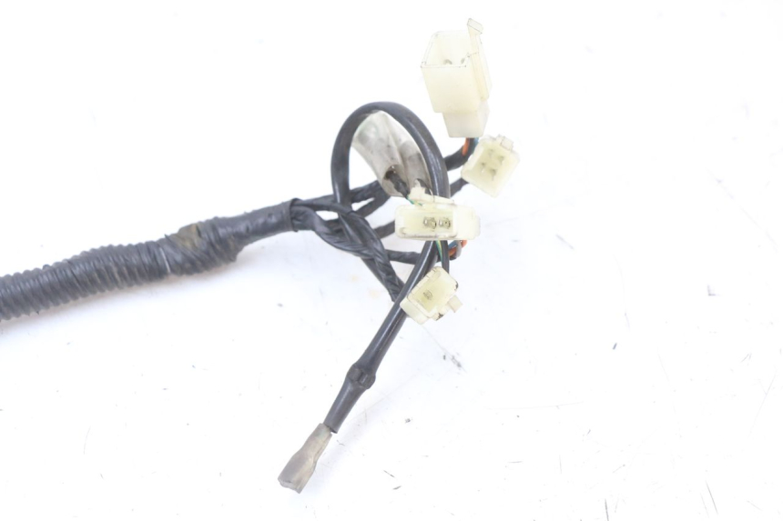 photo de CABLEADO LONGJIA EASY MAX 125 (2020 - 2024)