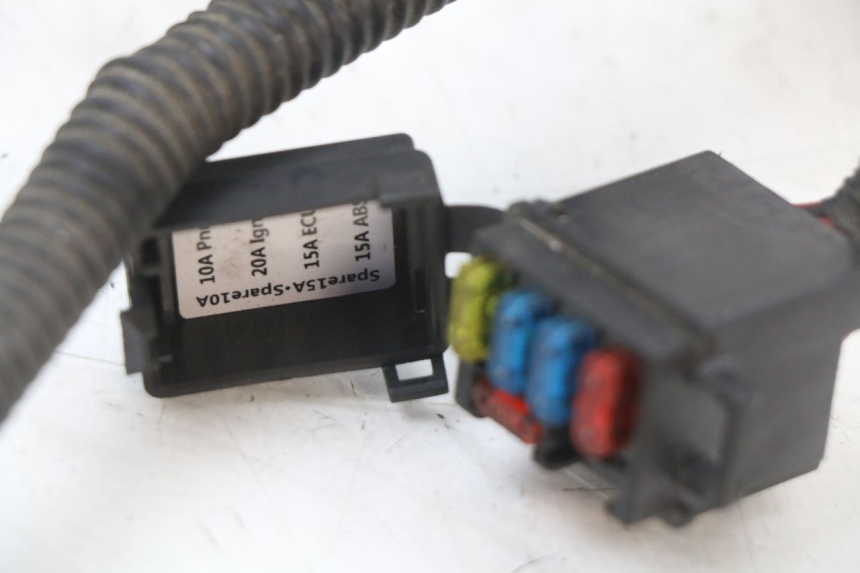 photo de CABLEADO LONGJIA EASY MAX 125 (2020 - 2024)