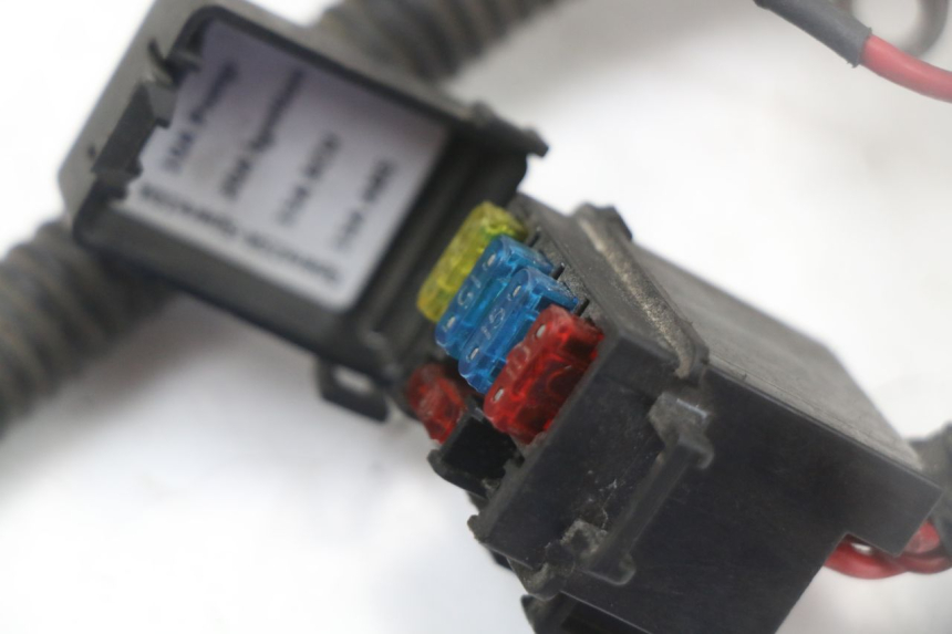 photo de CABLEADO LONGJIA EASY MAX 125 (2020 - 2024)